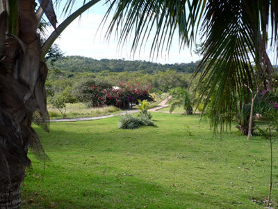 Hotel Fazenda Do Bertione Miranda Bagian luar foto