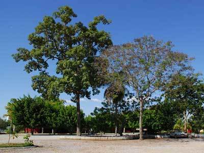 Hotel Fazenda Do Bertione Miranda Bagian luar foto
