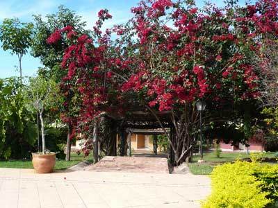 Hotel Fazenda Do Bertione Miranda Bagian luar foto